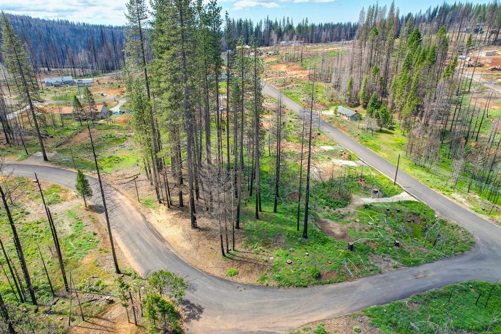 Wooded Glen Road, Grizzly Flats, California image 2