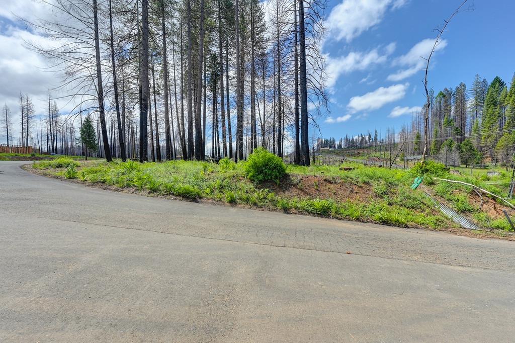 Wooded Glen Road, Grizzly Flats, California image 34