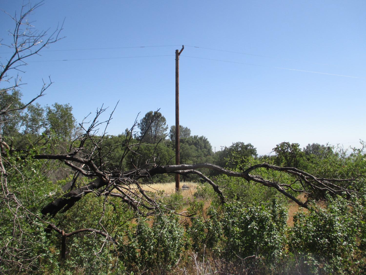 Nikki Jo Road, Oroville, California image 8