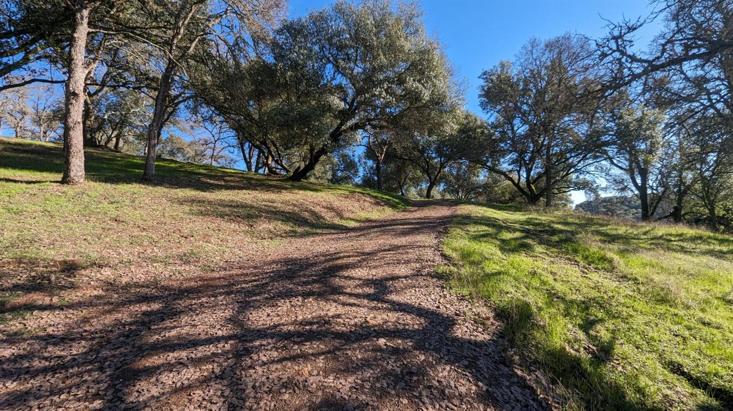 Gold Pan Court, Mokelumne Hill, California image 5