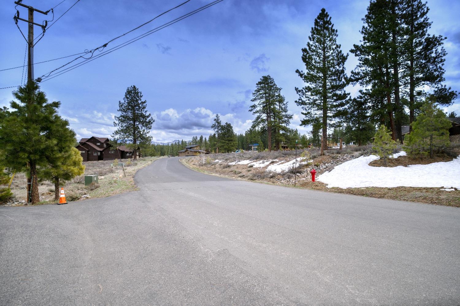 Courtenay Lane, Truckee, California image 8