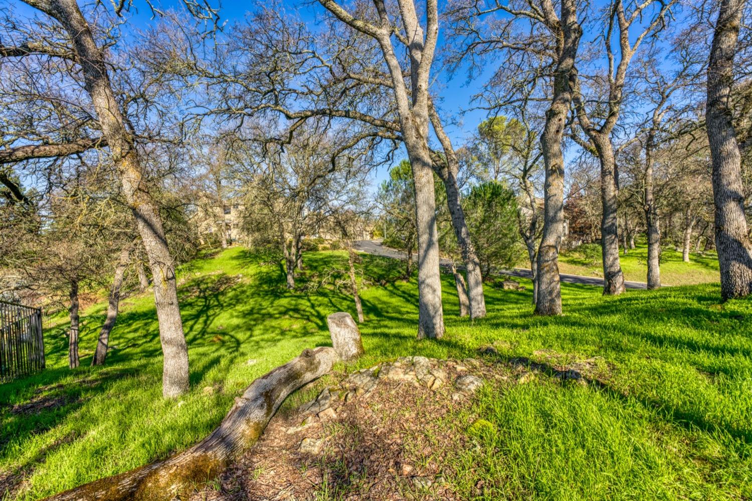 Camino Del Sol, Rancho Murieta, California image 6