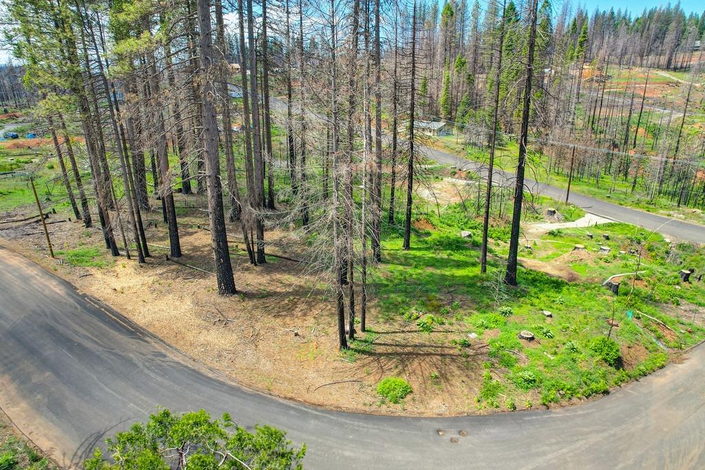 Wooded Glen Road, Grizzly Flats, California image 9