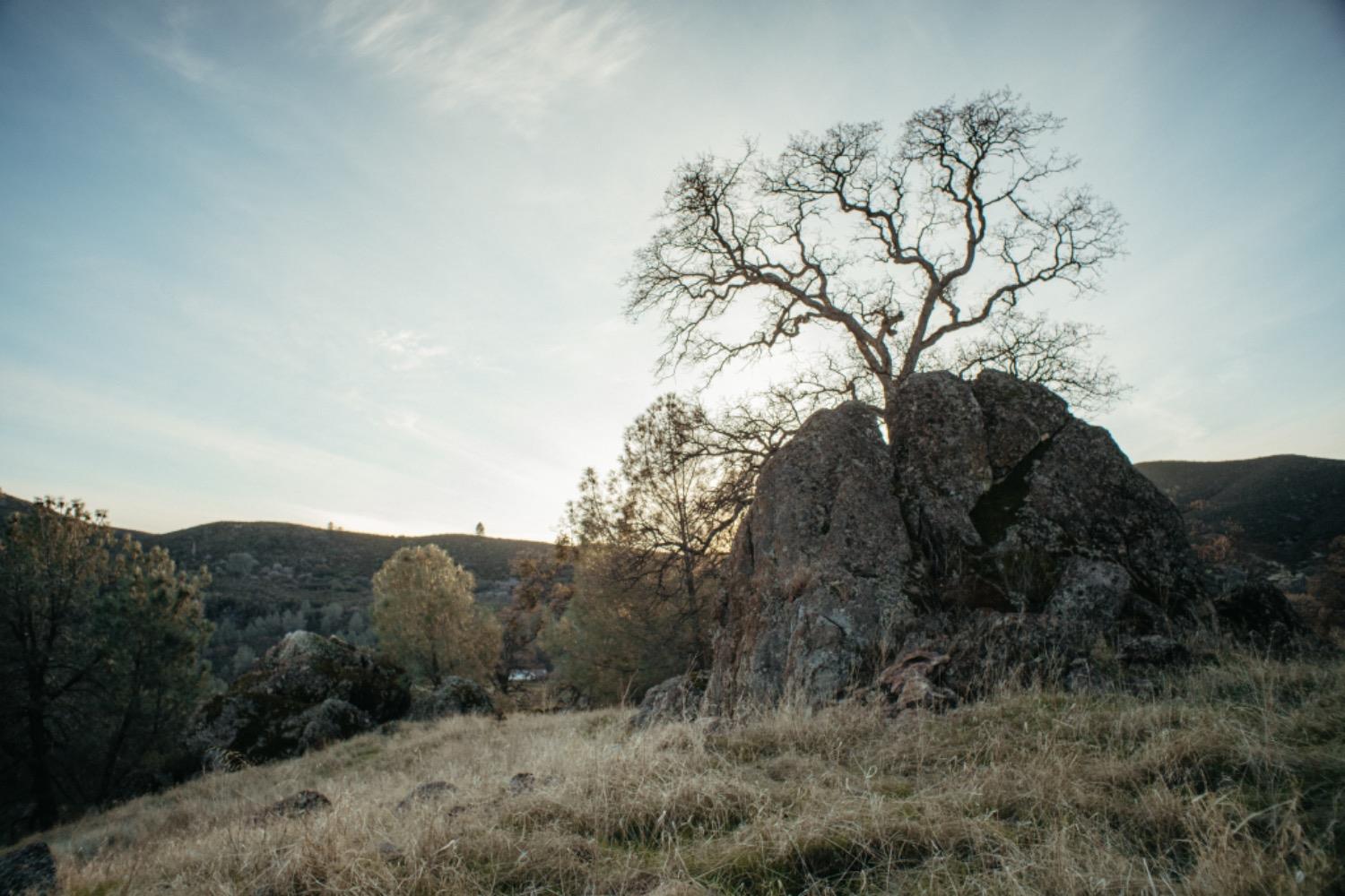 Jaquima Drive, Angels Camp, California image 8