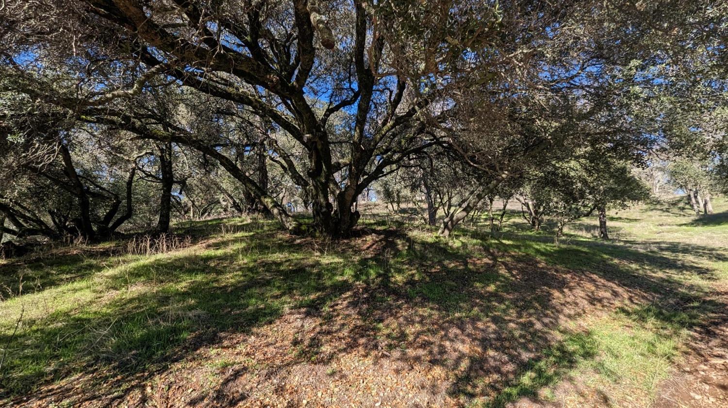 Gold Pan Court, Mokelumne Hill, California image 13