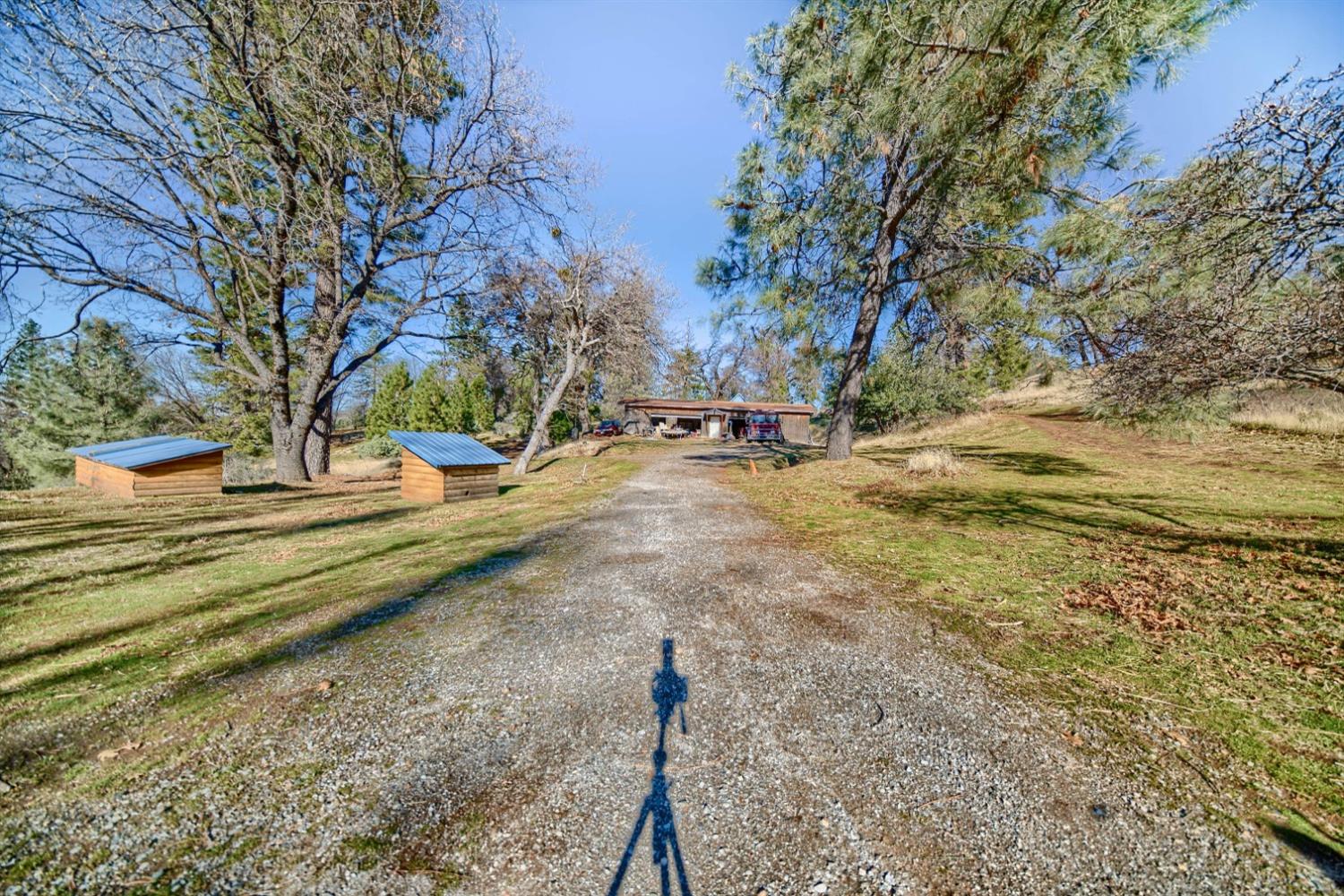 Detail Gallery Image 74 of 85 For 777 Morning Glory Rd, Mountain Ranch,  CA 95246 - 3 Beds | 3 Baths