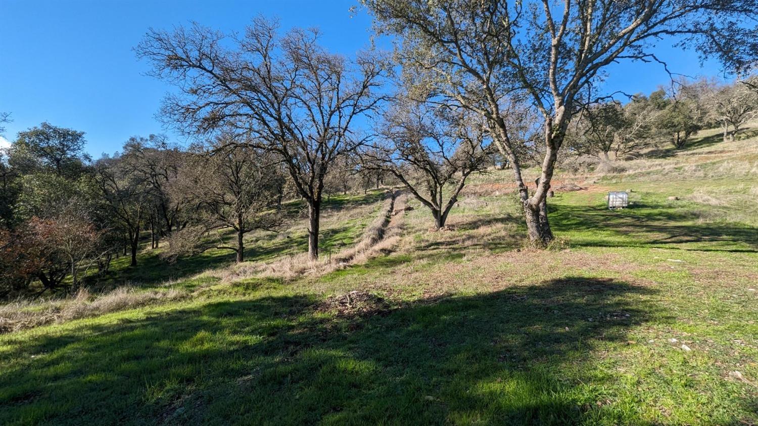 Gold Pan Court, Mokelumne Hill, California image 17