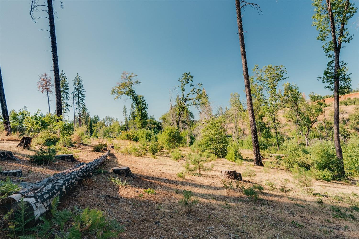 Clear Brook Lane, Paradise, California image 25