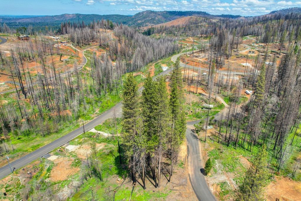 Wooded Glen Road, Grizzly Flats, California image 30