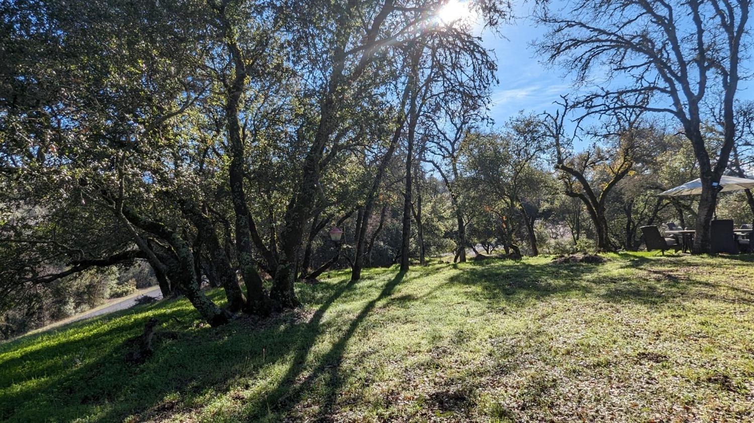 Gold Pan Court, Mokelumne Hill, California image 20