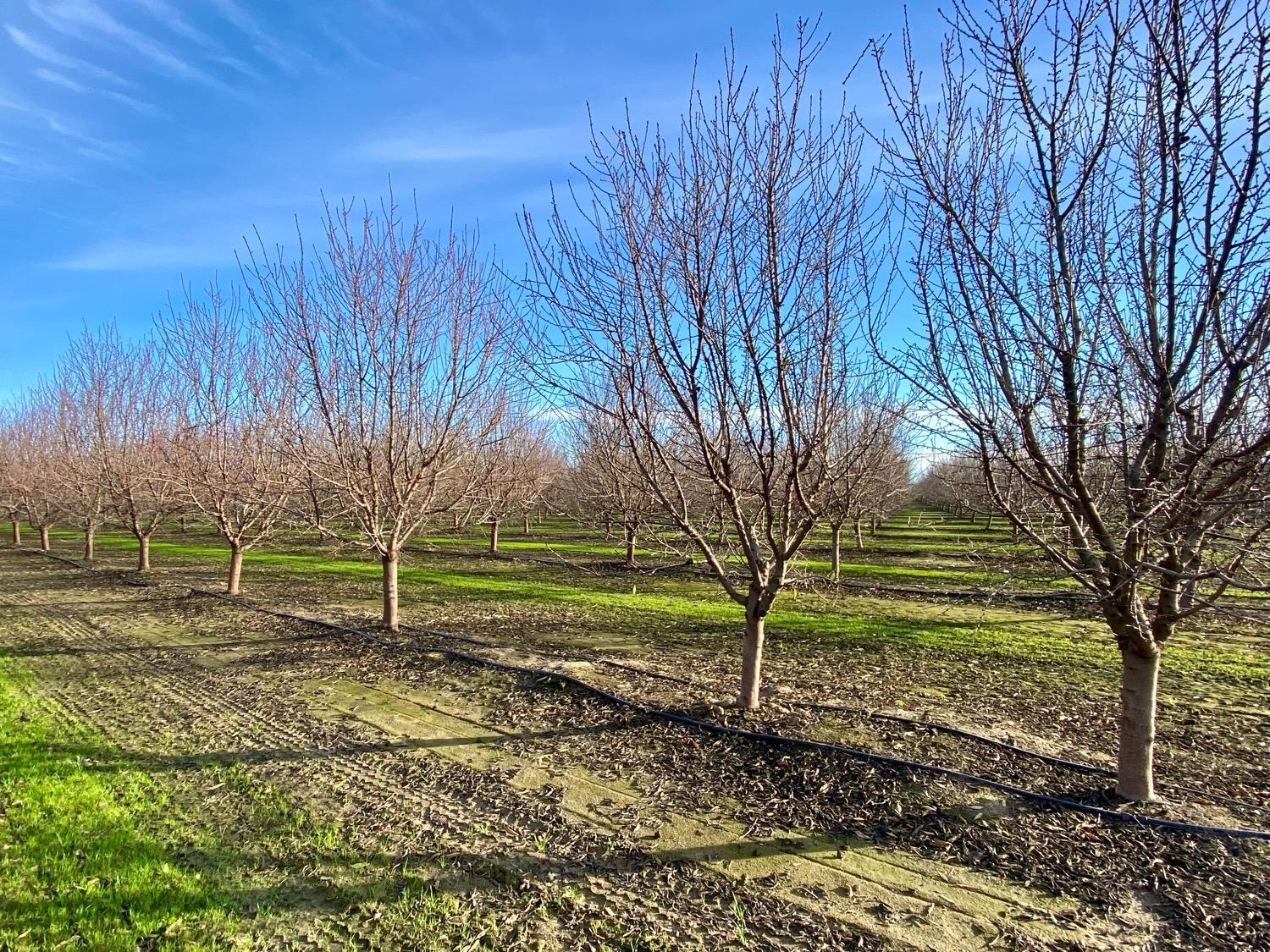 Detail Gallery Image 26 of 27 For 4912 Hultberg Rd, Turlock,  CA 95380 - 4 Beds | 2/1 Baths