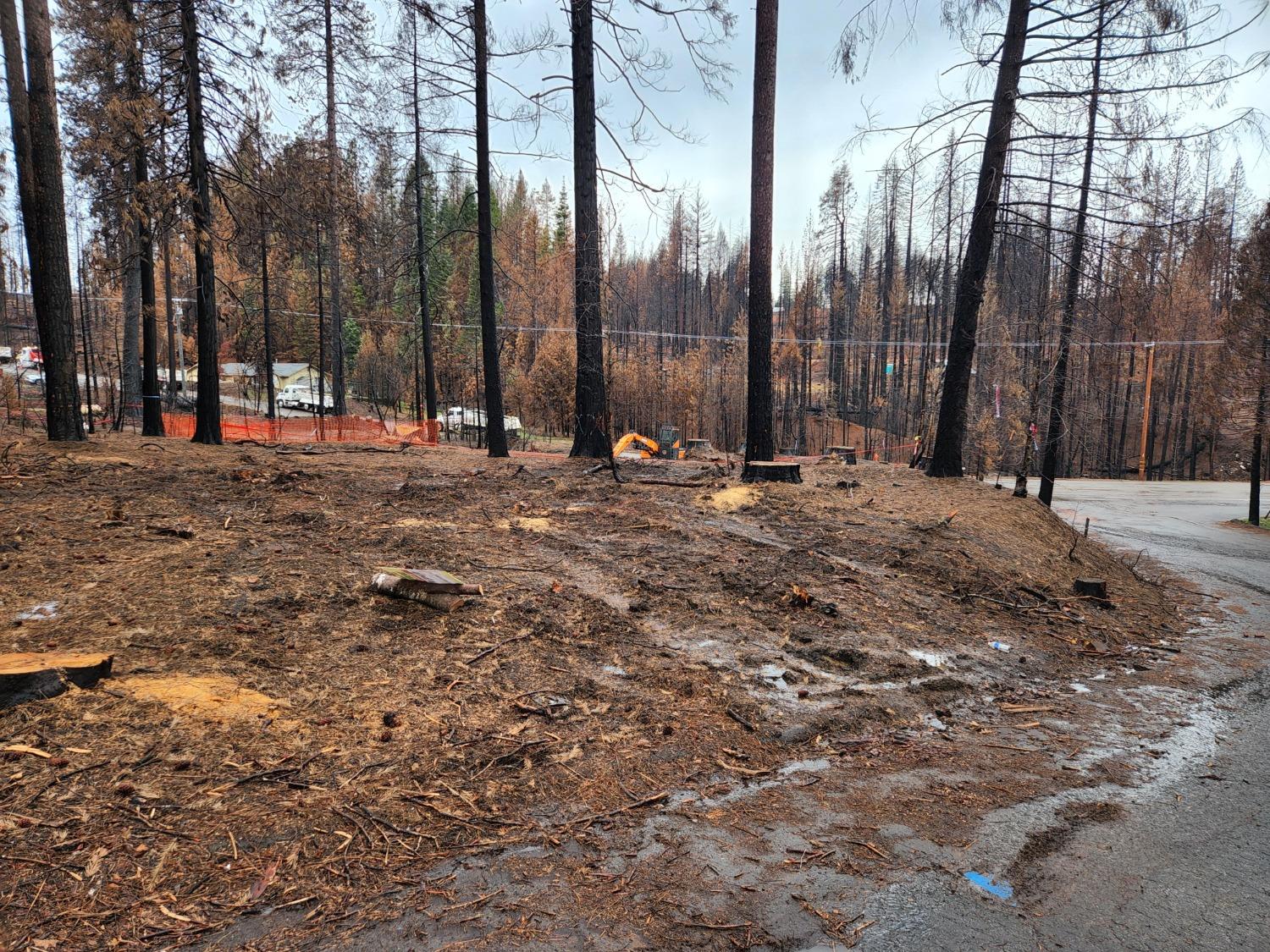 Wooded Glen Road, Grizzly Flats, California image 3