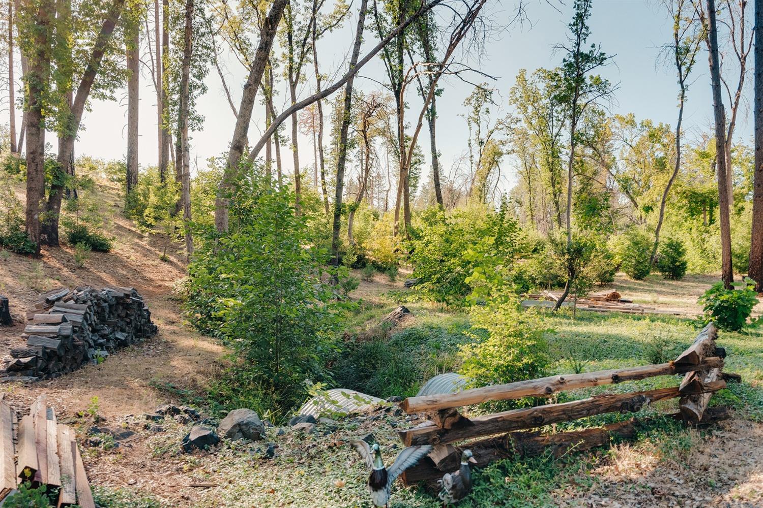 Clear Brook Lane, Paradise, California image 29