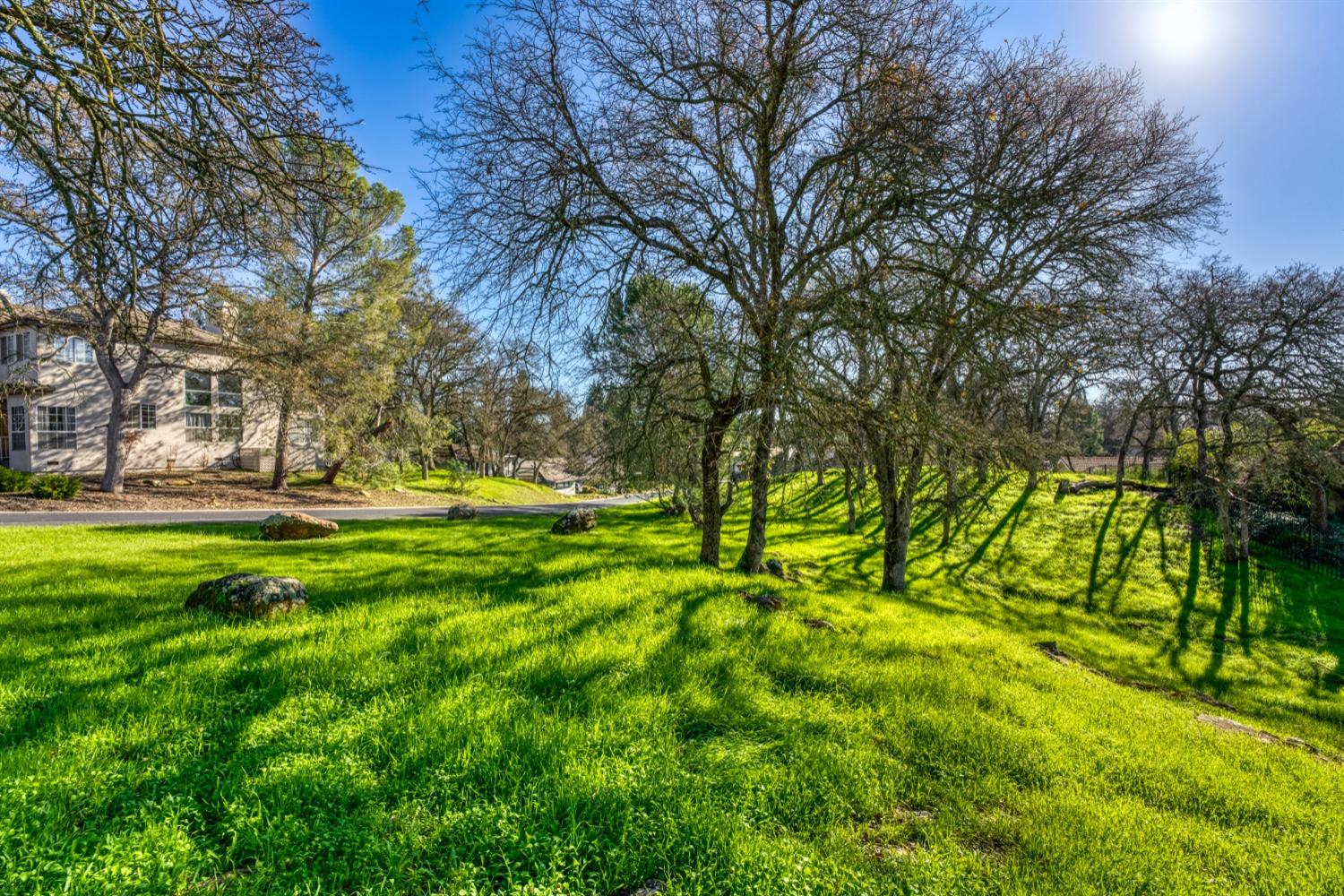 Camino Del Sol, Rancho Murieta, California image 3