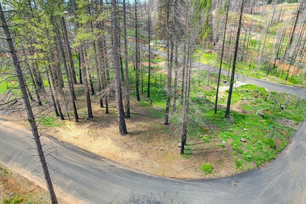 Wooded Glen Road, Grizzly Flats, California image 10