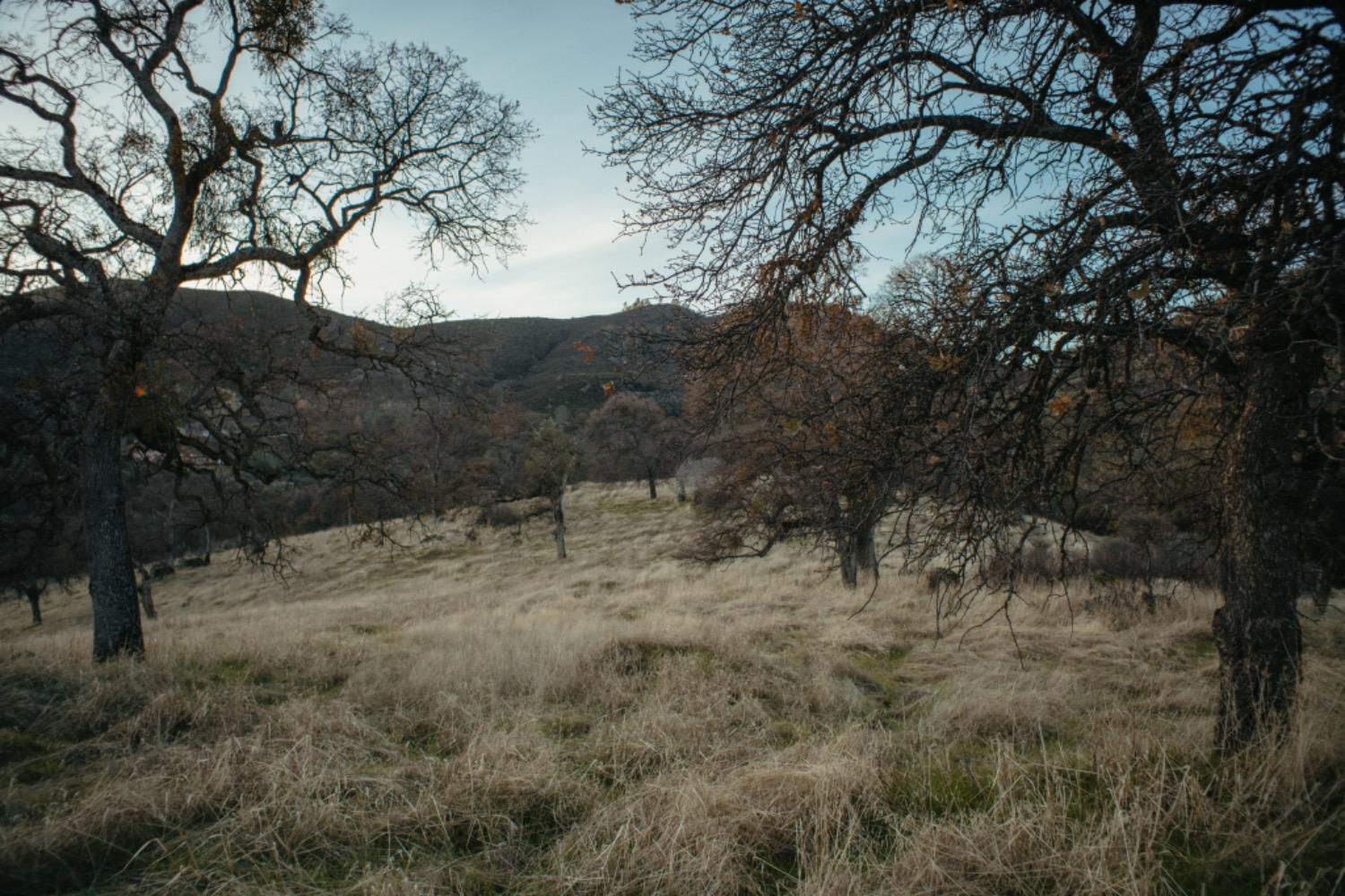 Jaquima Drive, Angels Camp, California image 12