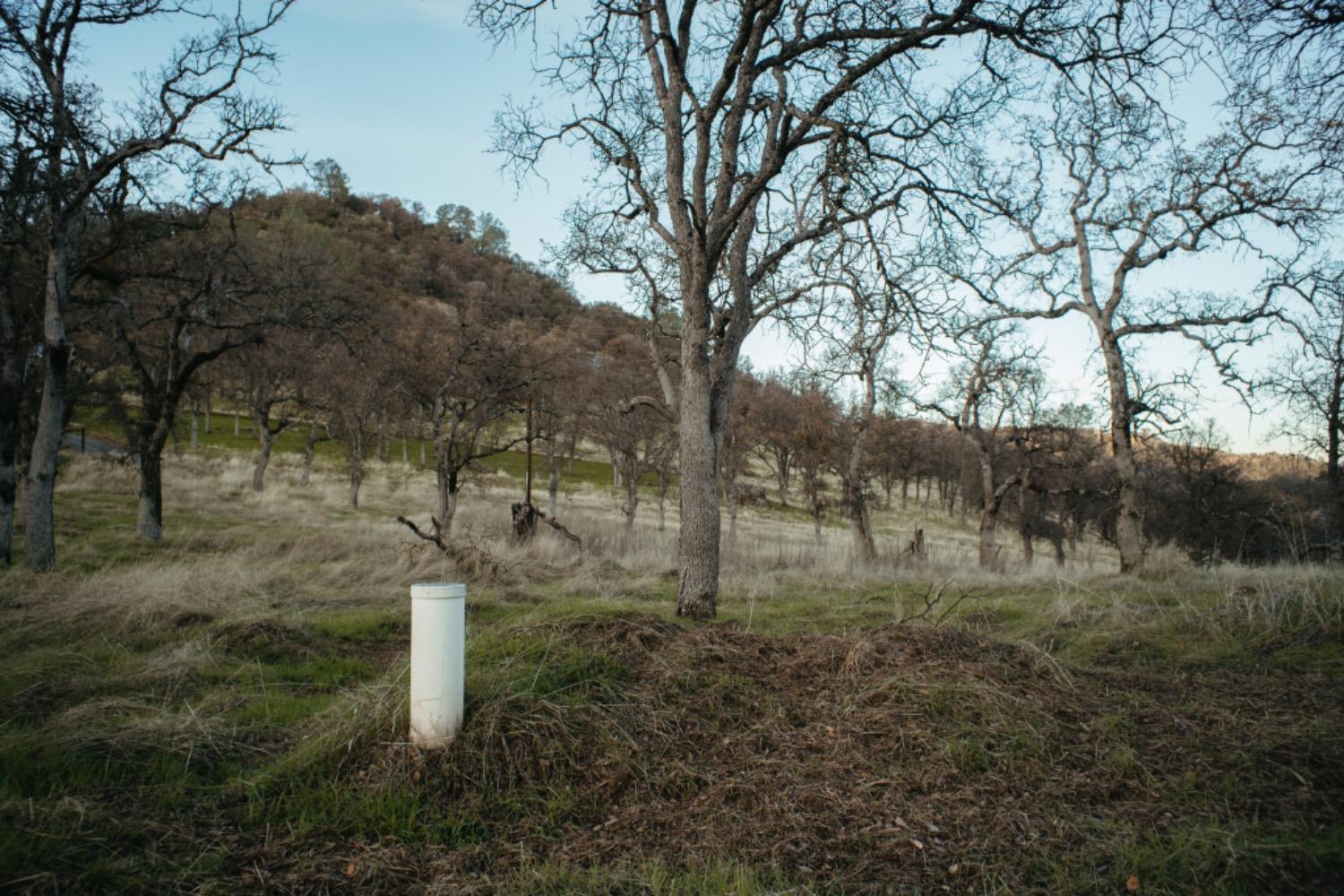 Jaquima Drive, Angels Camp, California image 9