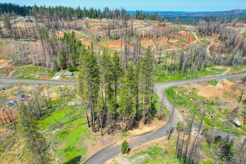 Wooded Glen Road, Grizzly Flats, California image 28