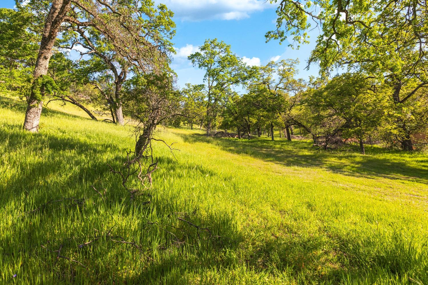 Camino Verdera, Lincoln, California image 8