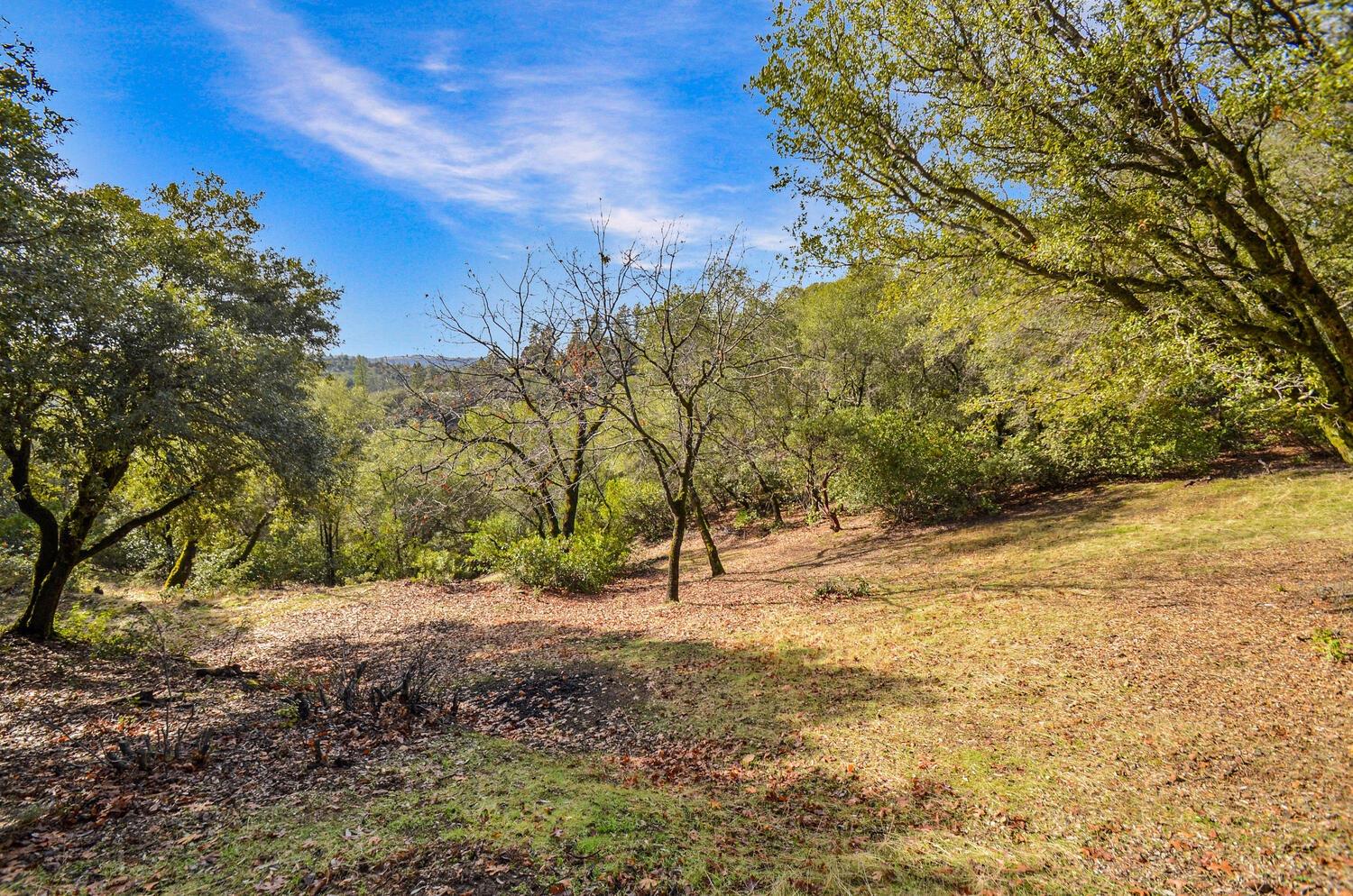 Detail Gallery Image 70 of 78 For 15275 Autumn Dr, Sutter Creek,  CA 95685 - 3 Beds | 2 Baths