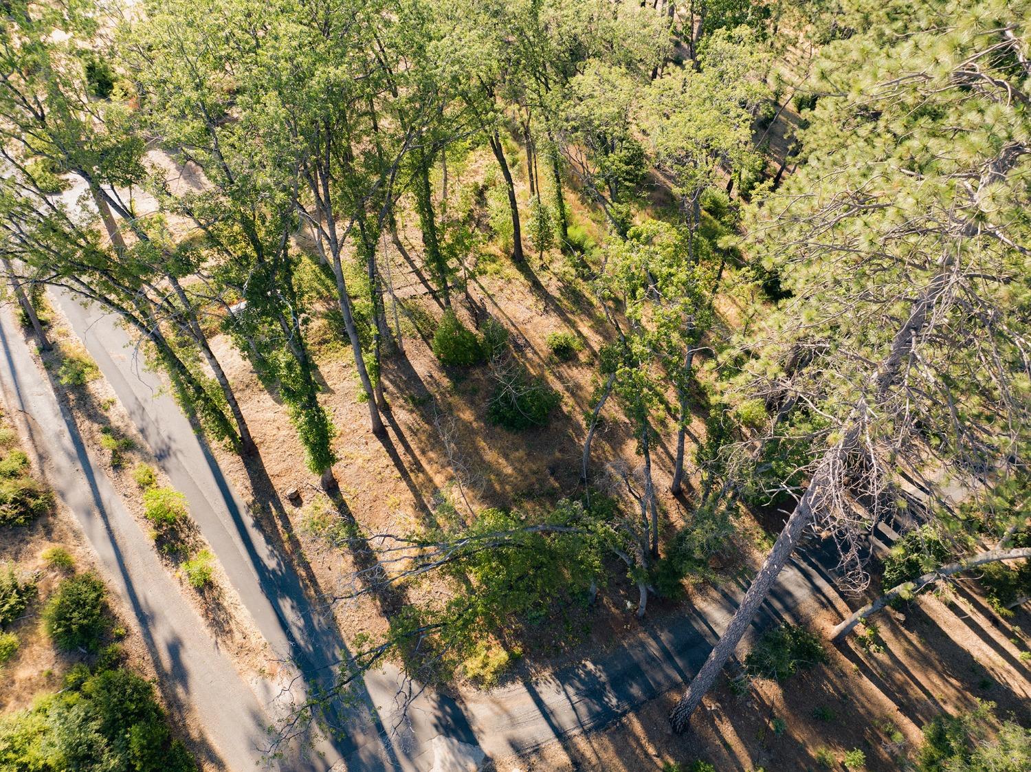 Clear Brook Lane, Paradise, California image 1