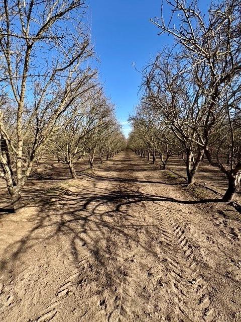 Detail Gallery Image 8 of 11 For 10111 Bradbury Rd., Ballico,  CA 95303 - – Beds | – Baths