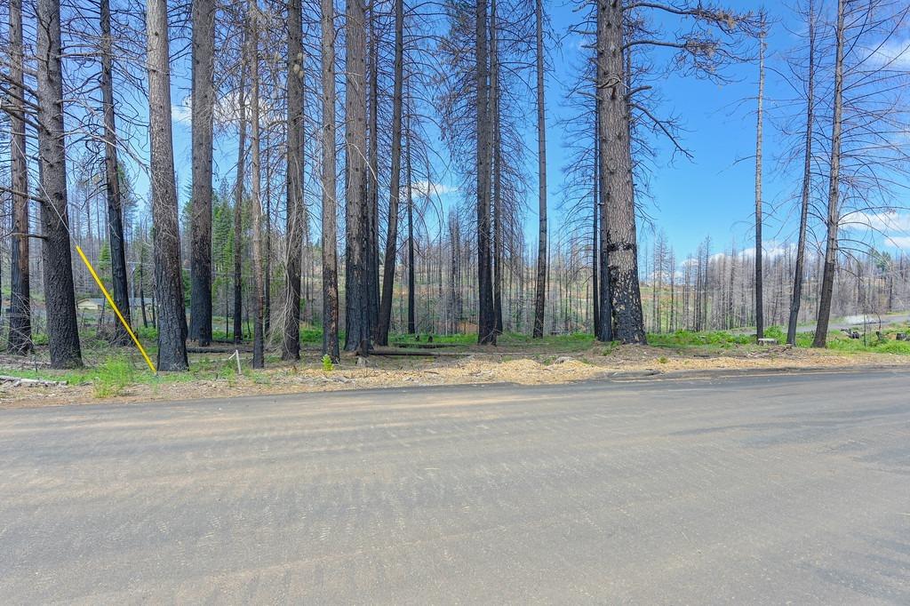 Wooded Glen Road, Grizzly Flats, California image 39