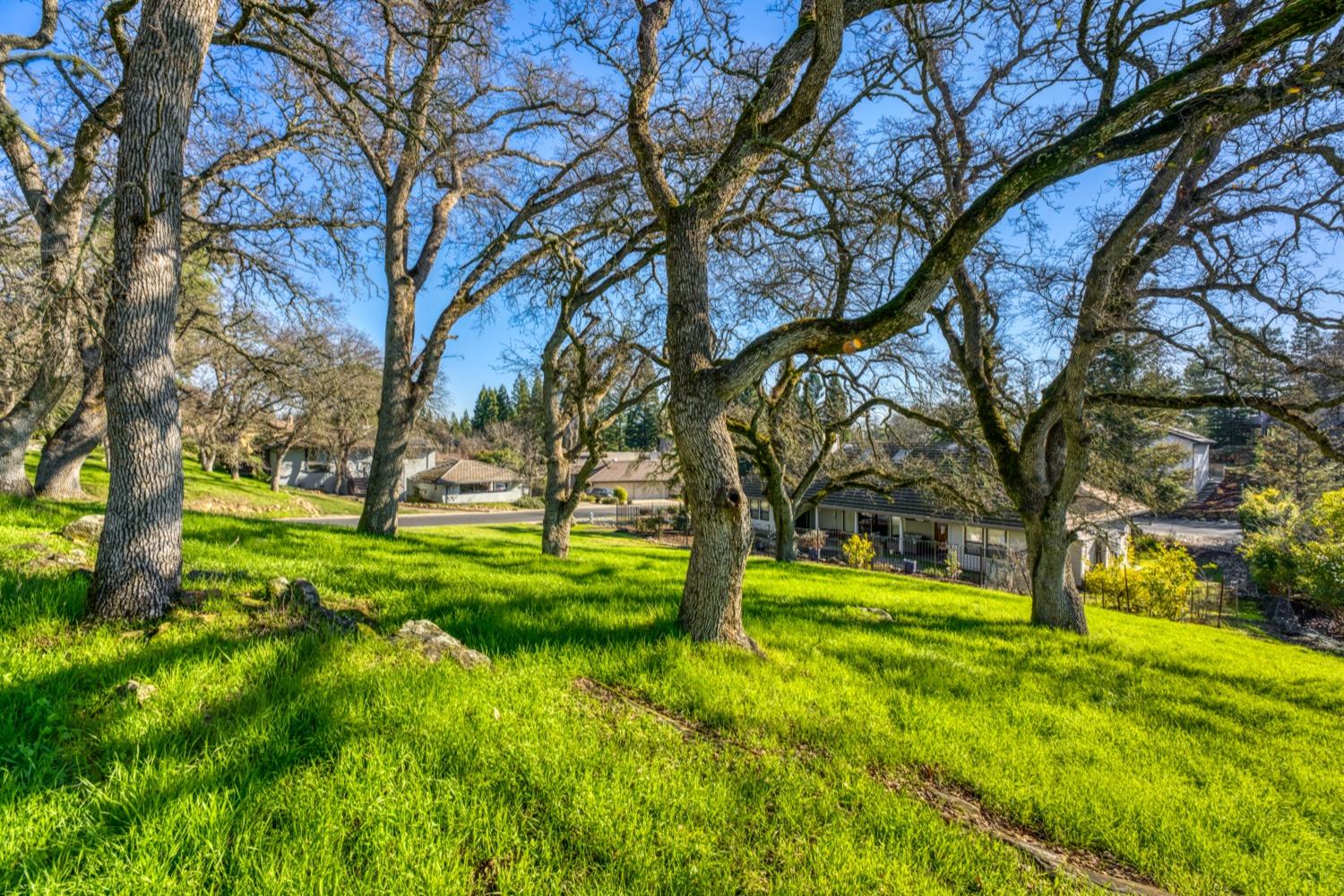 Camino Del Sol, Rancho Murieta, California image 2