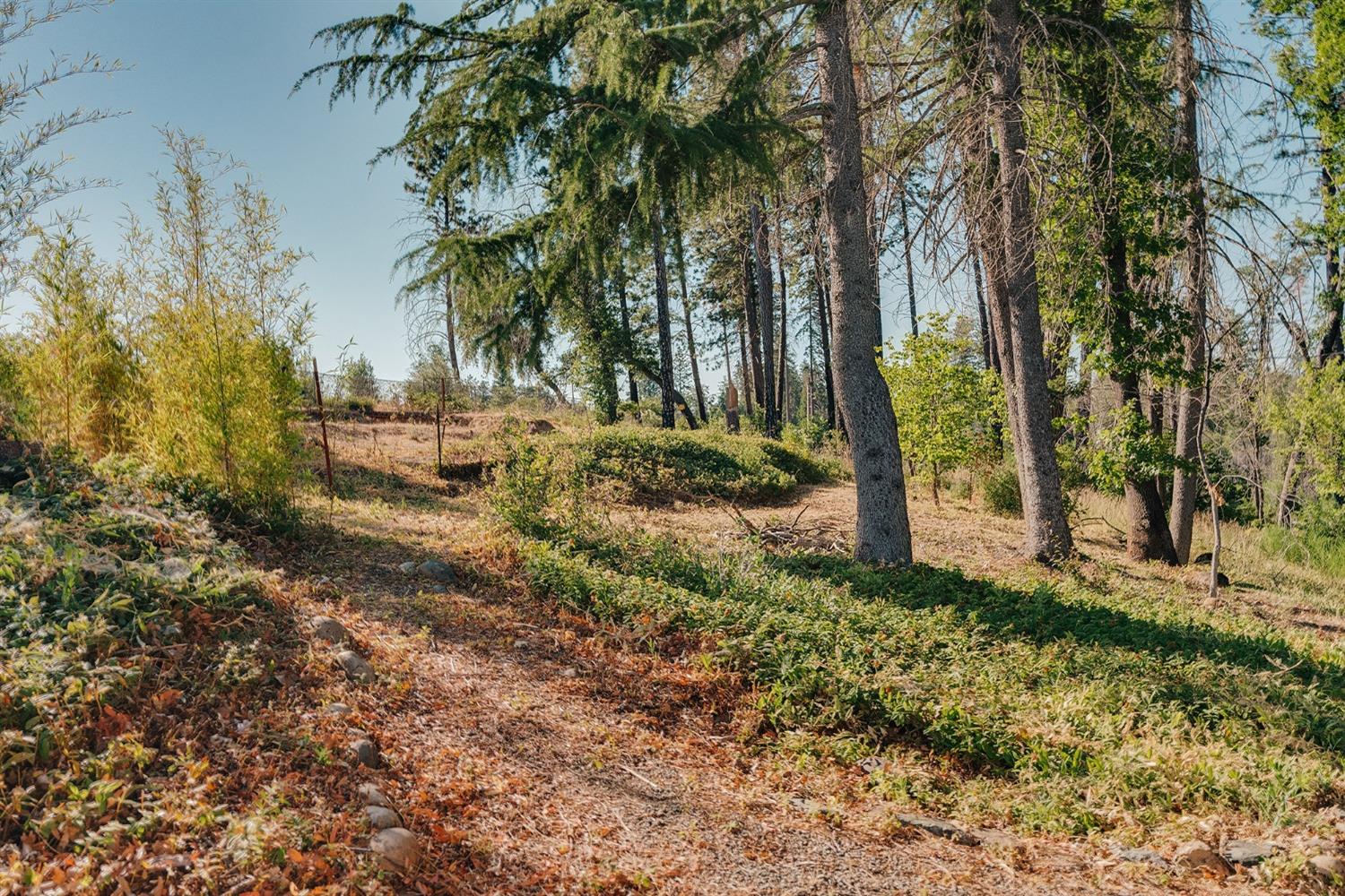 Clear Brook Lane, Paradise, California image 18