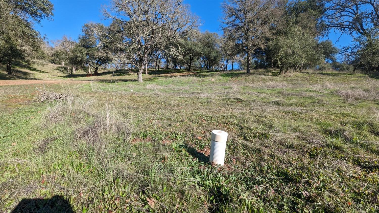 Gold Pan Court, Mokelumne Hill, California image 7