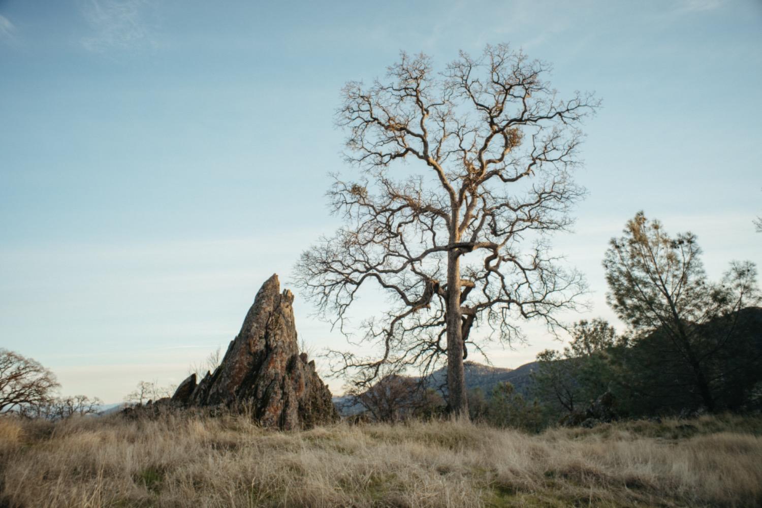 Jaquima Drive, Angels Camp, California image 13