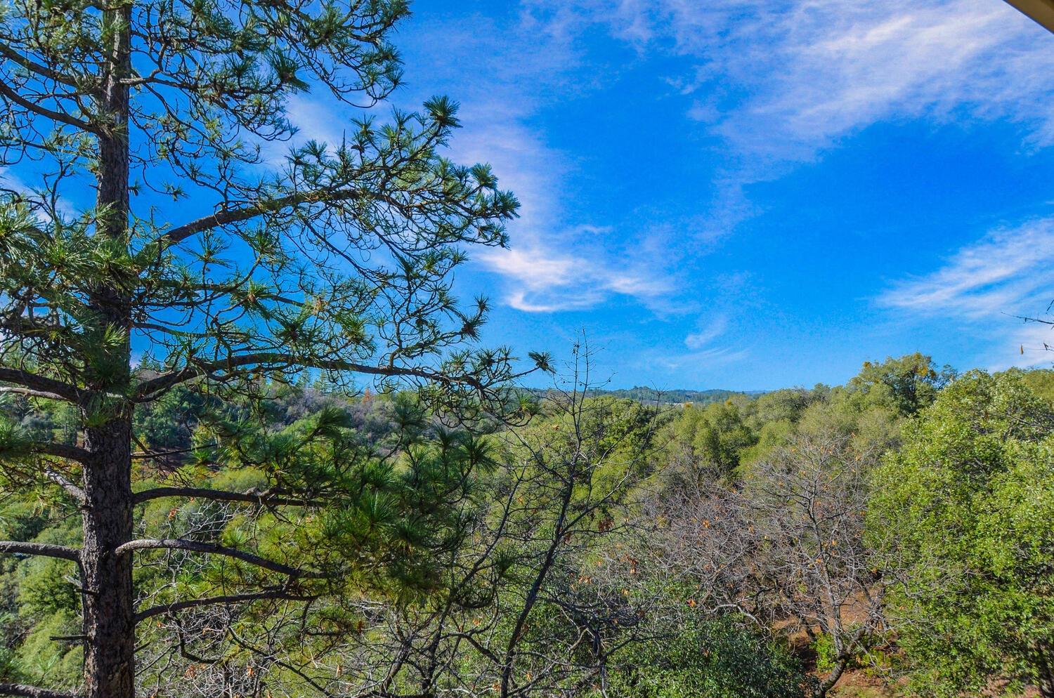 Detail Gallery Image 16 of 78 For 15275 Autumn Dr, Sutter Creek,  CA 95685 - 3 Beds | 2 Baths