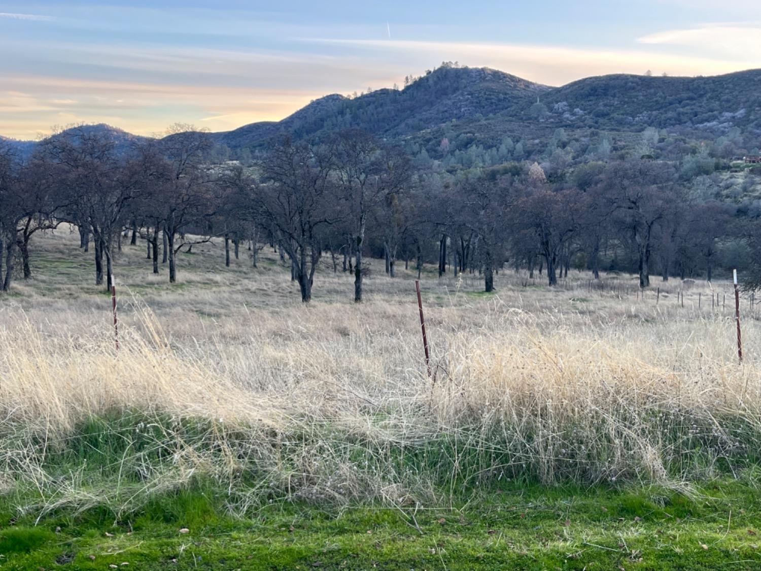 Jaquima Drive, Angels Camp, California image 19