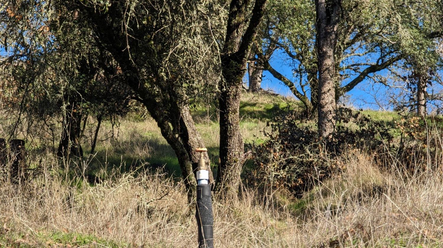 Gold Pan Court, Mokelumne Hill, California image 14