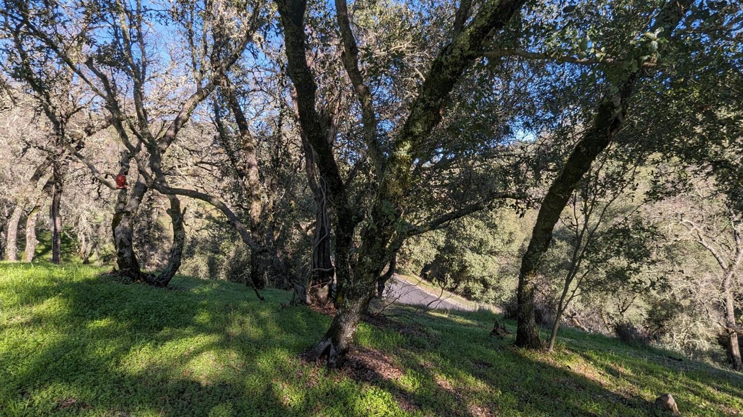 Gold Pan Court, Mokelumne Hill, California image 19