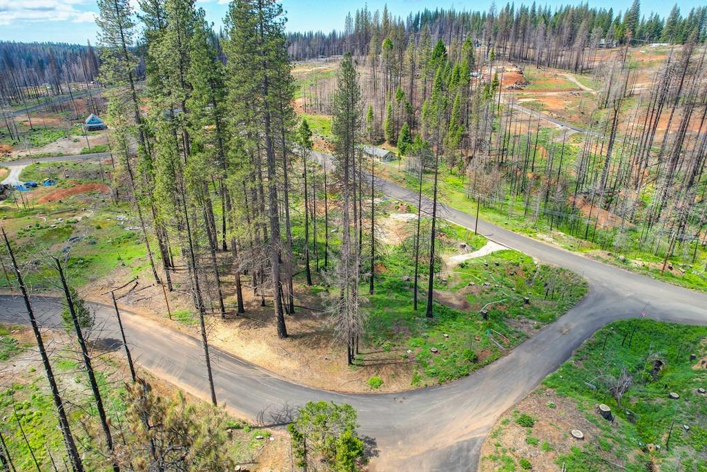 Wooded Glen Road, Grizzly Flats, California image 8