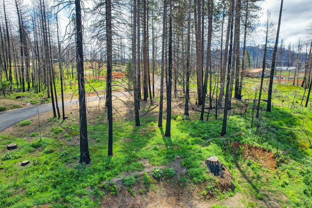 Wooded Glen Road, Grizzly Flats, California image 18