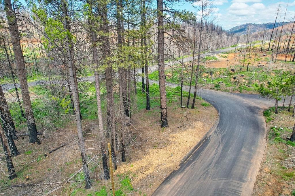 Wooded Glen Road, Grizzly Flats, California image 13