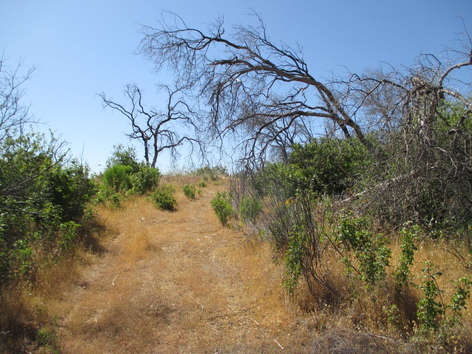 Nikki Jo Road, Oroville, California image 7