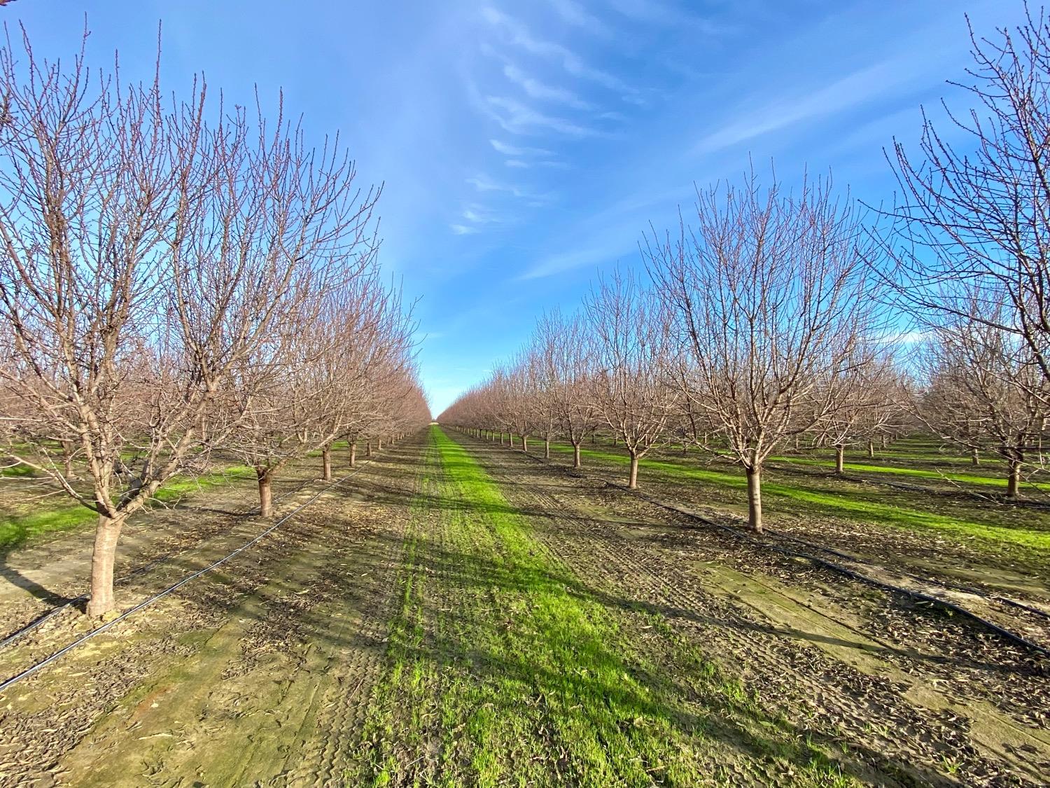 Detail Gallery Image 27 of 27 For 4912 Hultberg Rd, Turlock,  CA 95380 - 4 Beds | 2/1 Baths