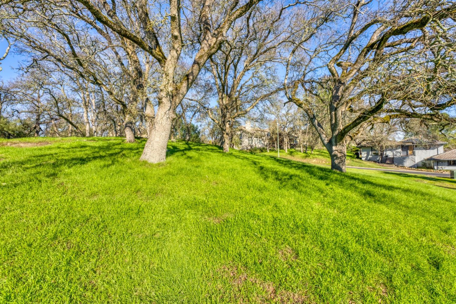 Camino Del Sol, Rancho Murieta, California image 4