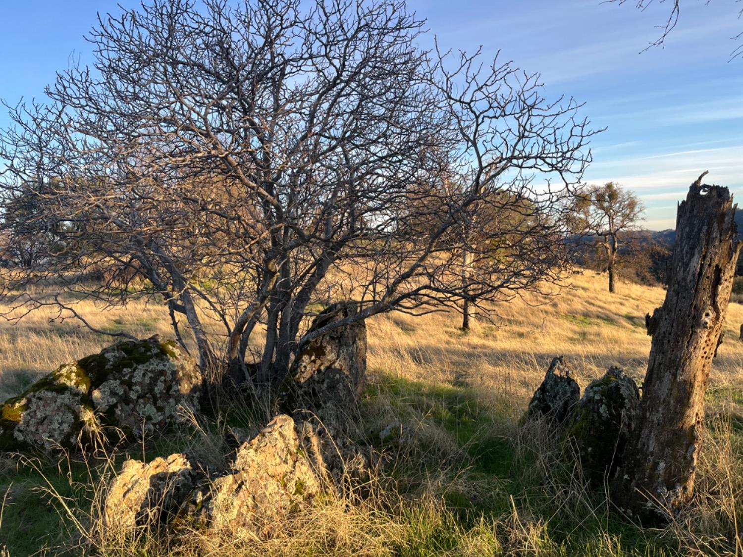 Jaquima Drive, Angels Camp, California image 30