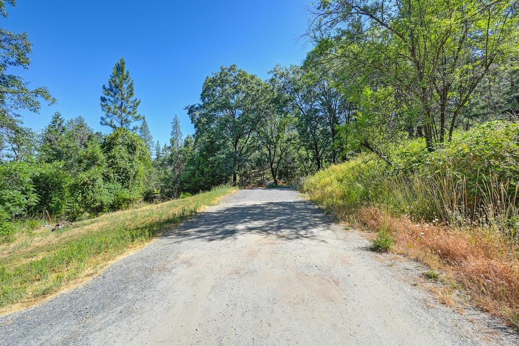 Sunray Lane, Colfax, California image 10