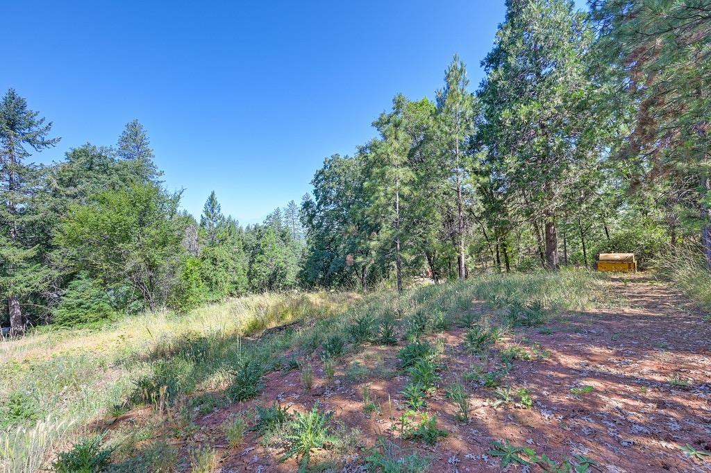 Sunray Lane, Colfax, California image 8