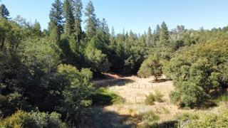 Moose Trail, Greenwood, California image 49