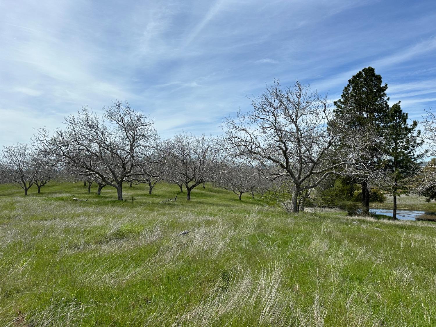 Hawk Haven Lane, Somerset, California image 5