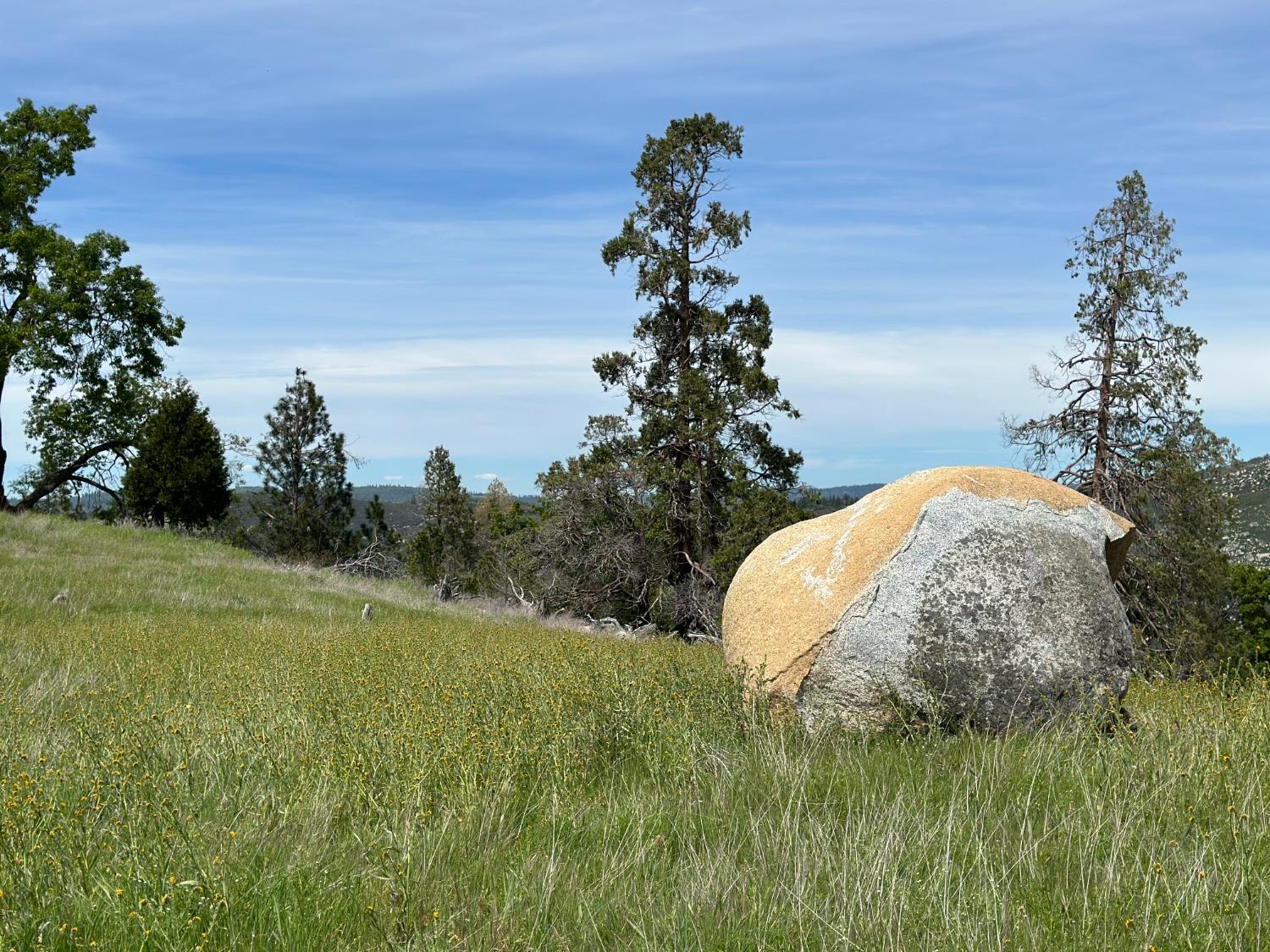 Hawk Haven Lane, Somerset, California image 8