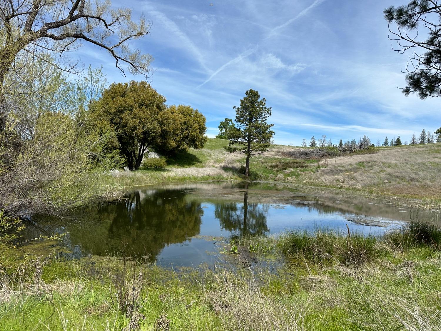 Hawk Haven Lane, Somerset, California image 23