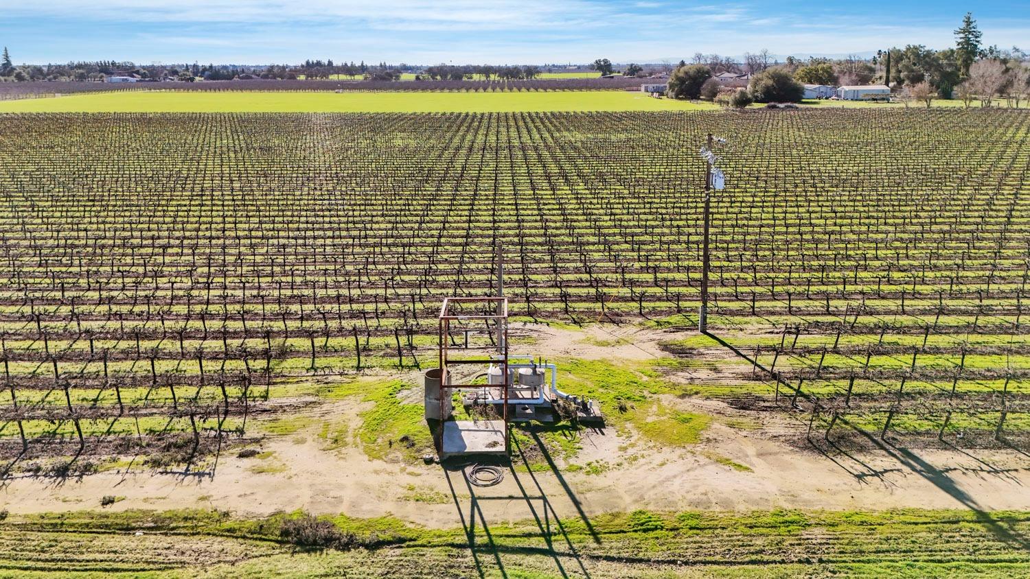 N Tretheway, Lodi, California image 8