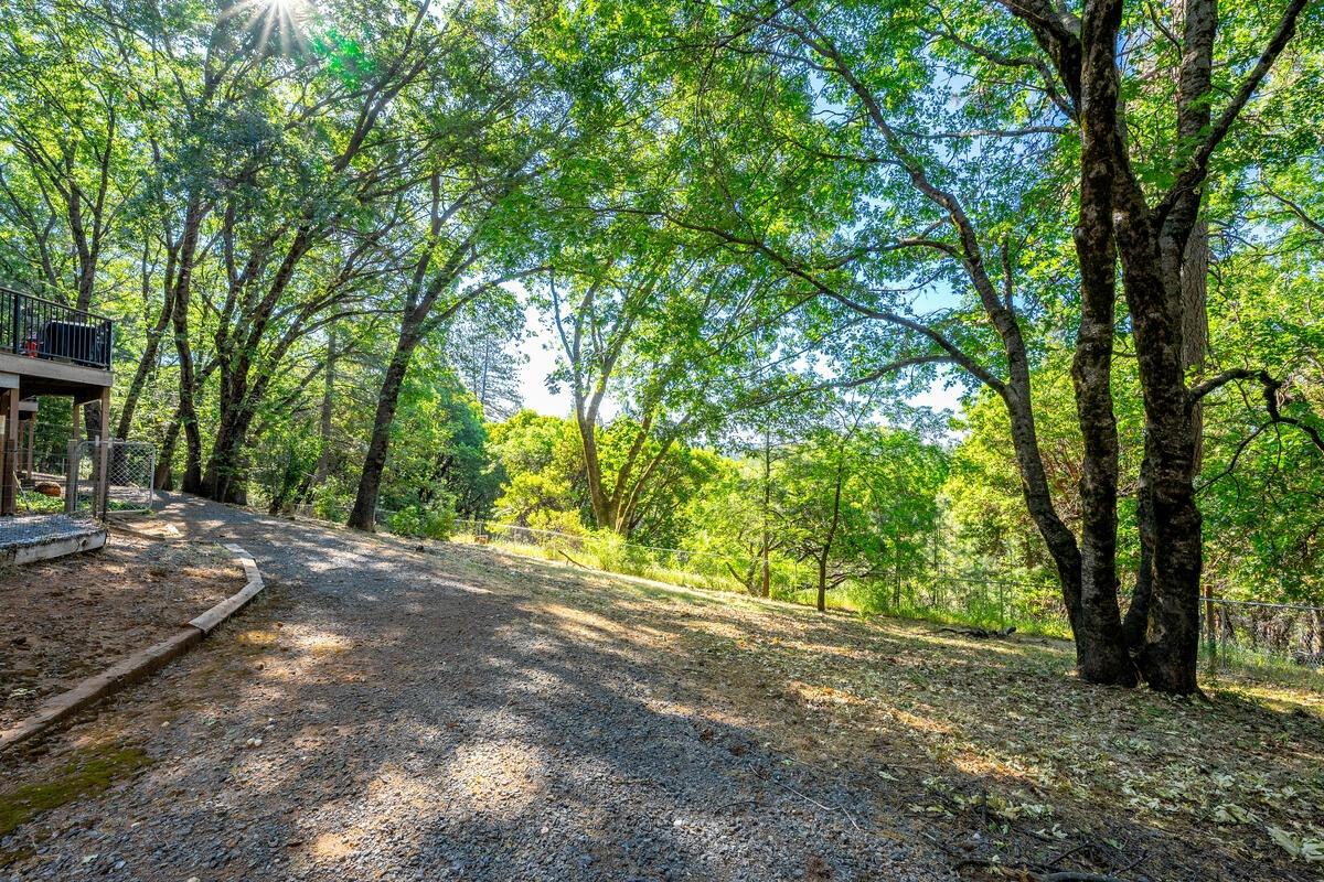 Crestline Drive, Foresthill, California image 36